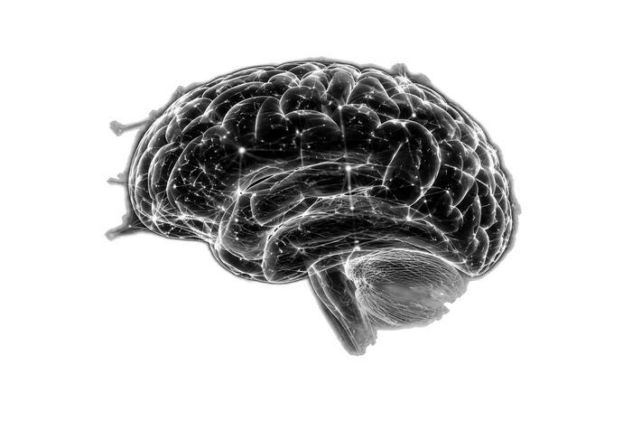Neurovance neural network visualization